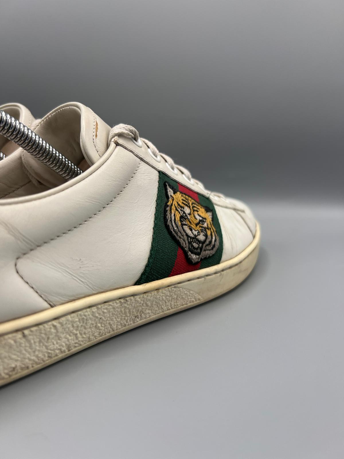 Gucci Ace Tiger