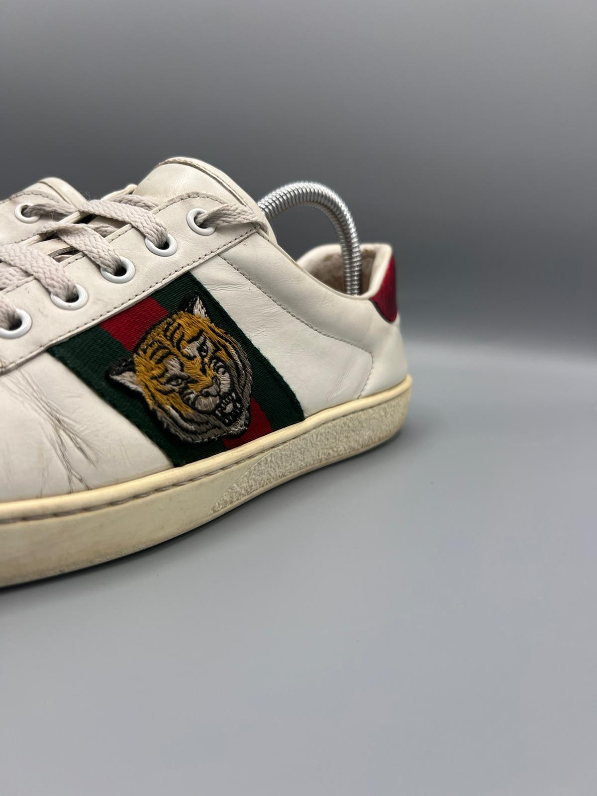 Gucci Ace Tiger