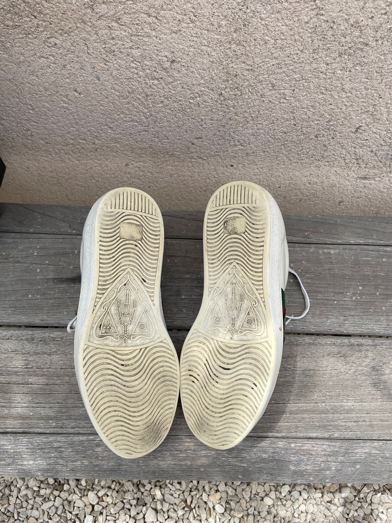 Gucci Ace Tiger