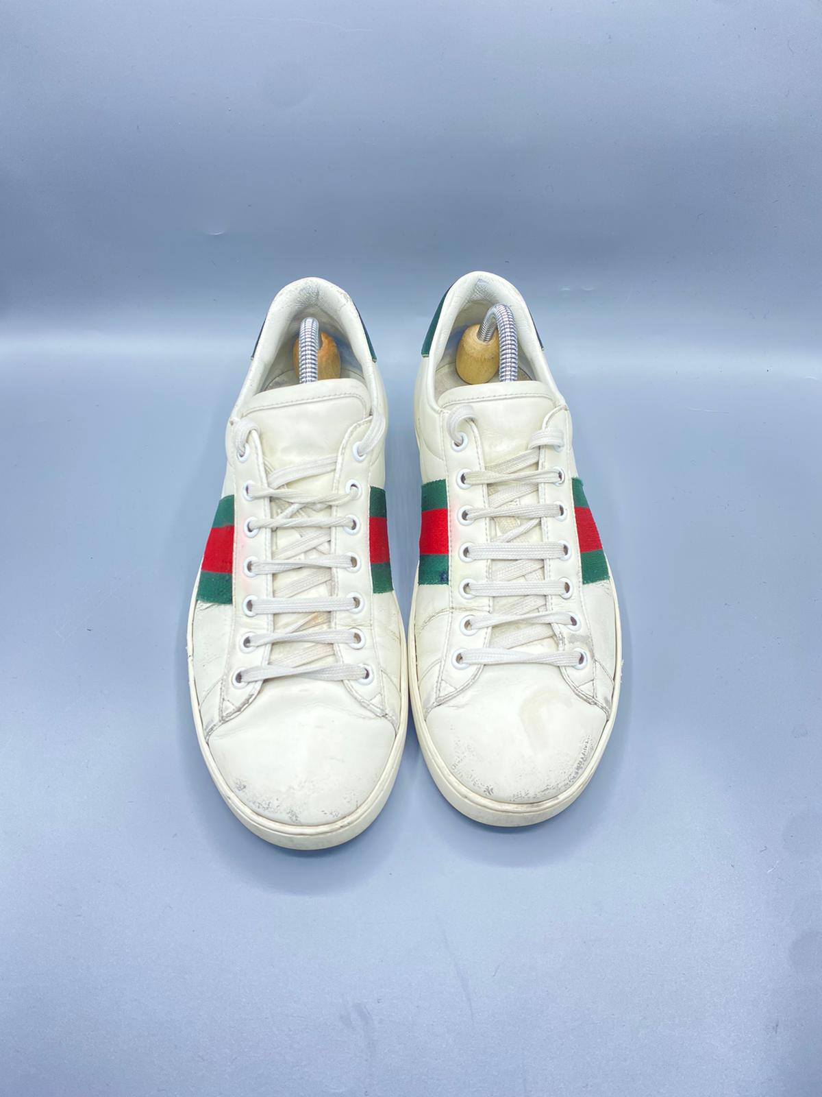 Gucci Ace
