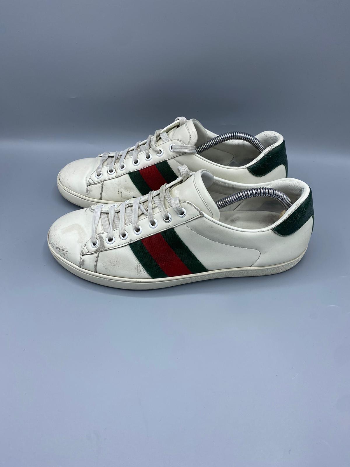 Gucci Ace