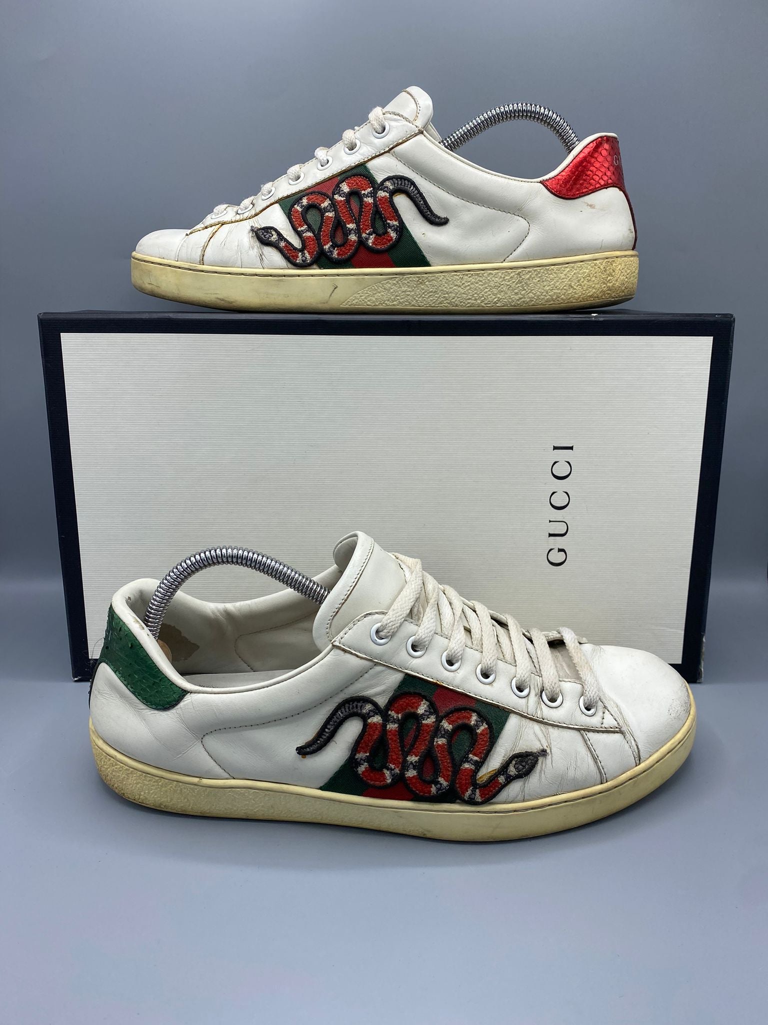 Gucci Ace Snake