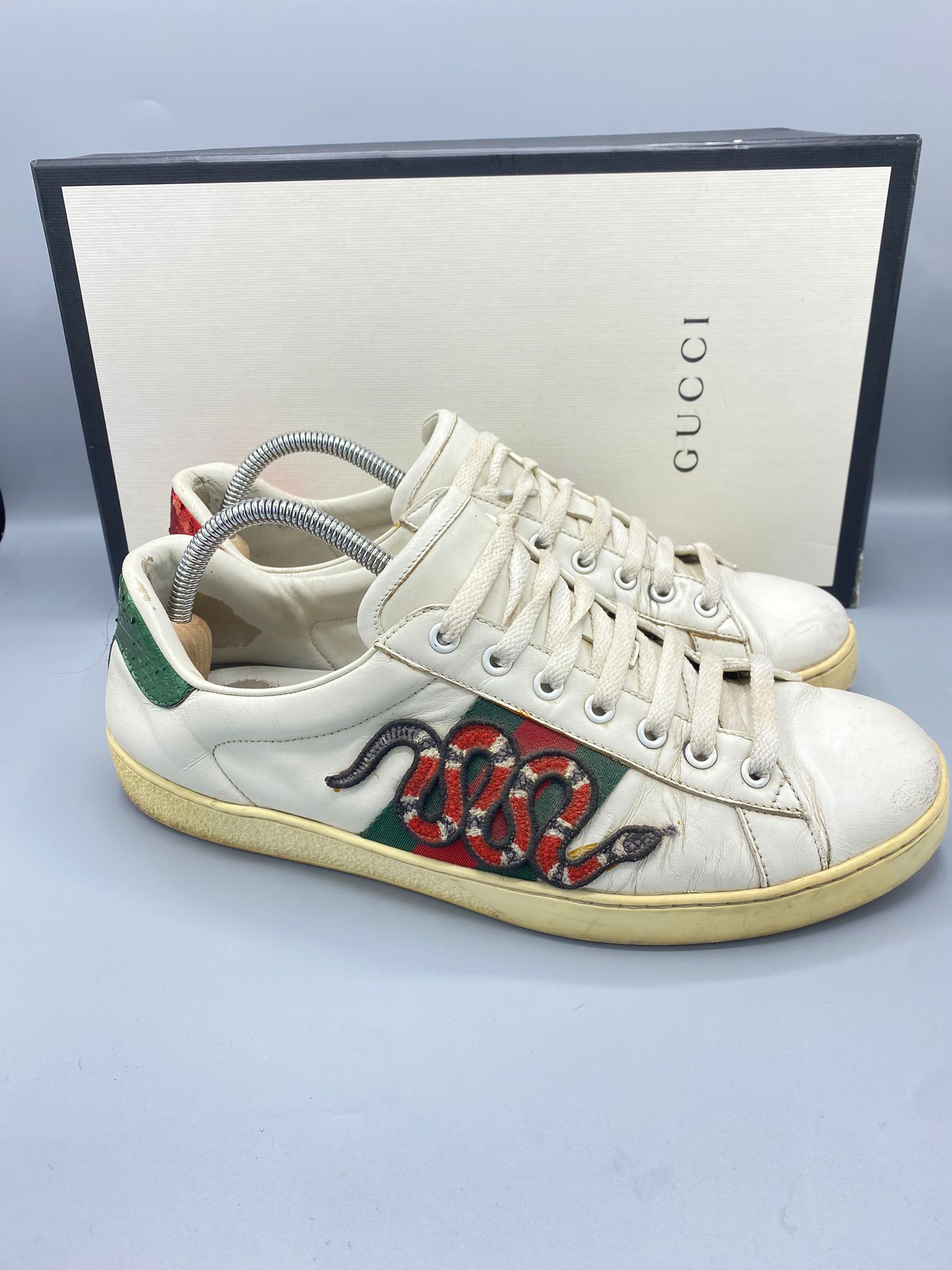 Gucci Ace Snake