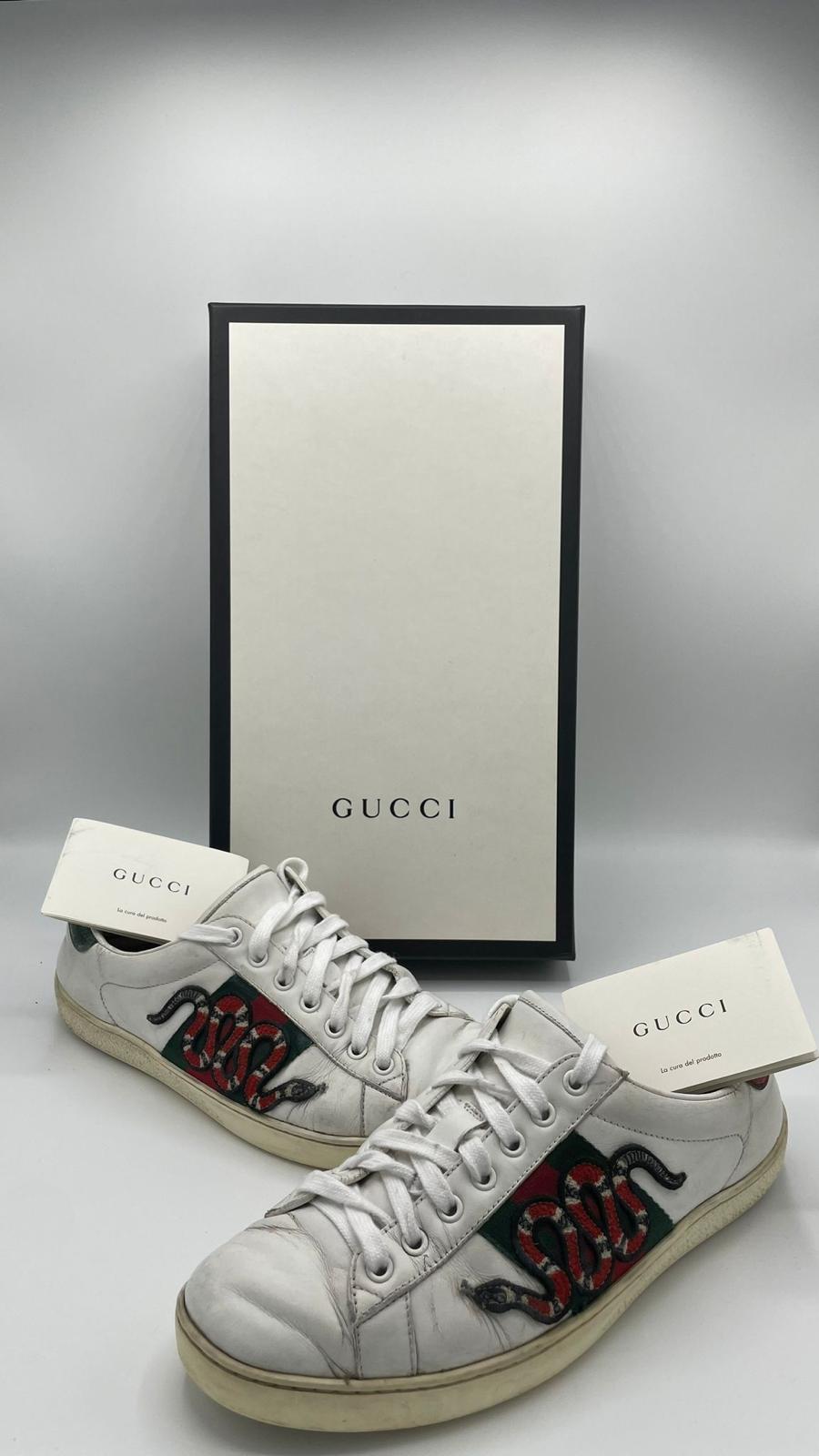 Gucci Ace Snake