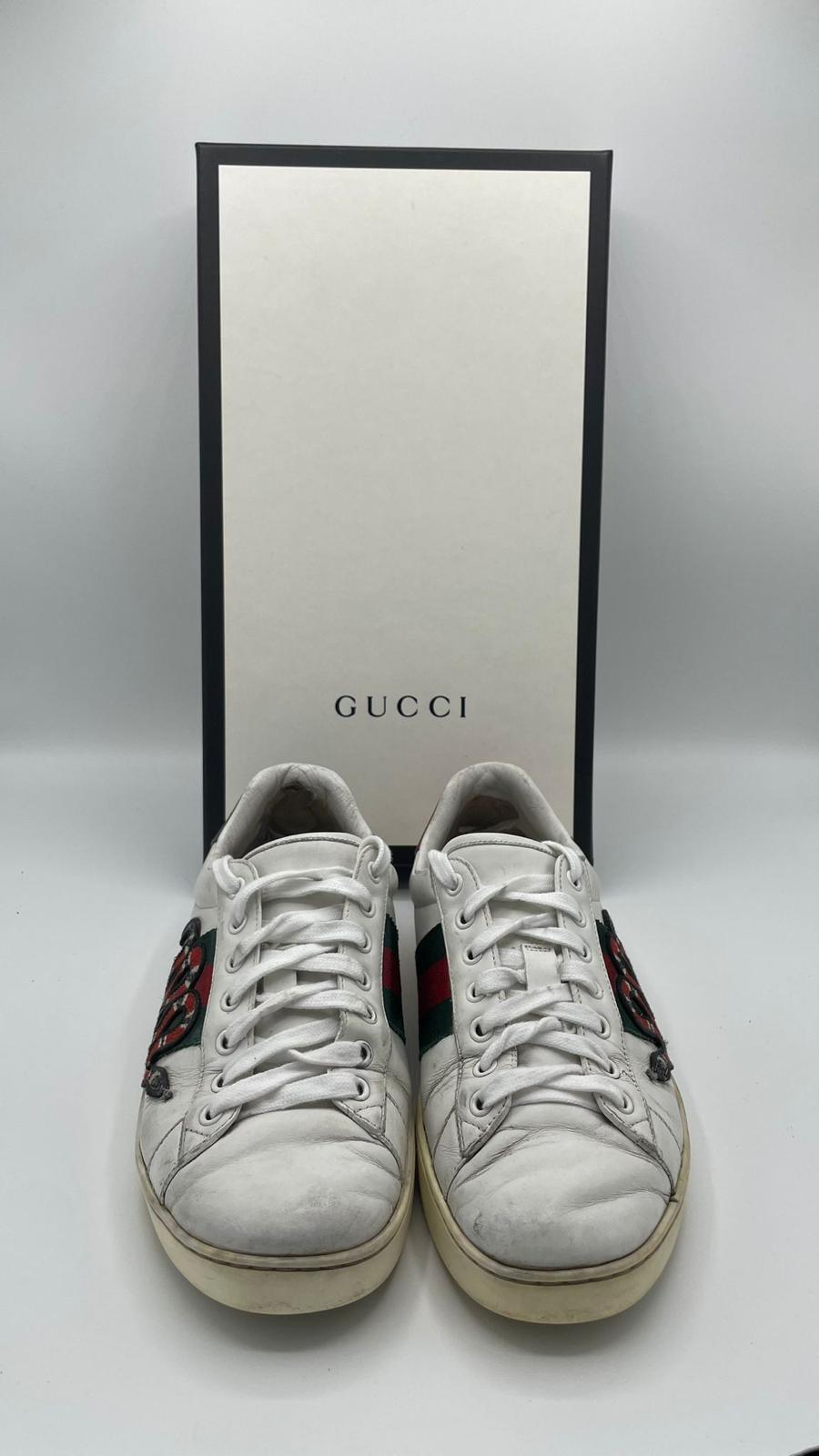 Gucci Ace Snake