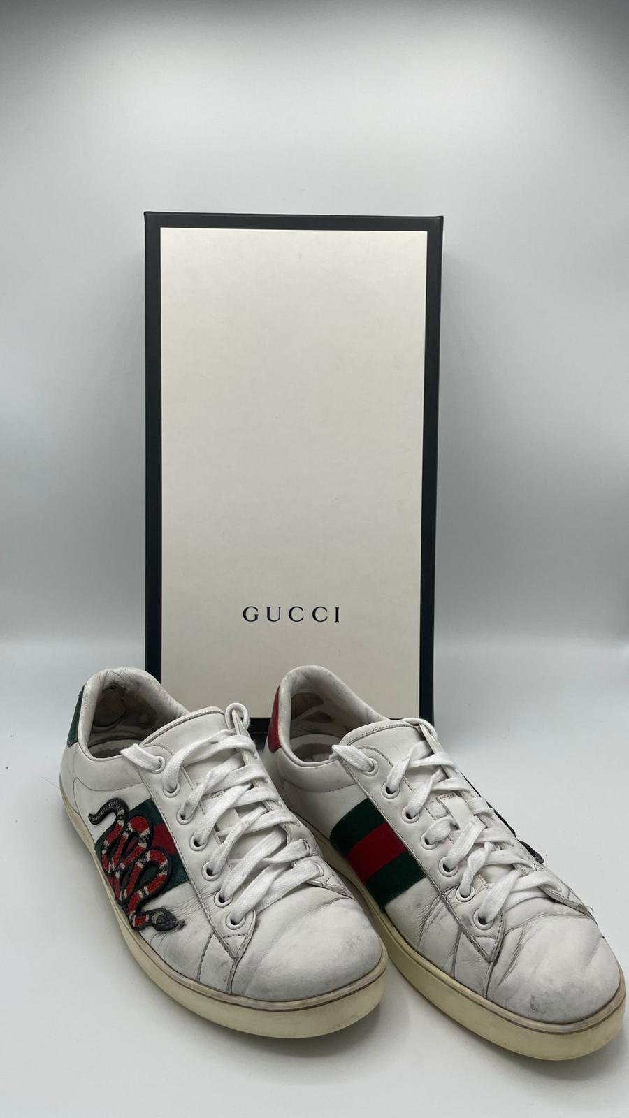 Gucci Ace Snake