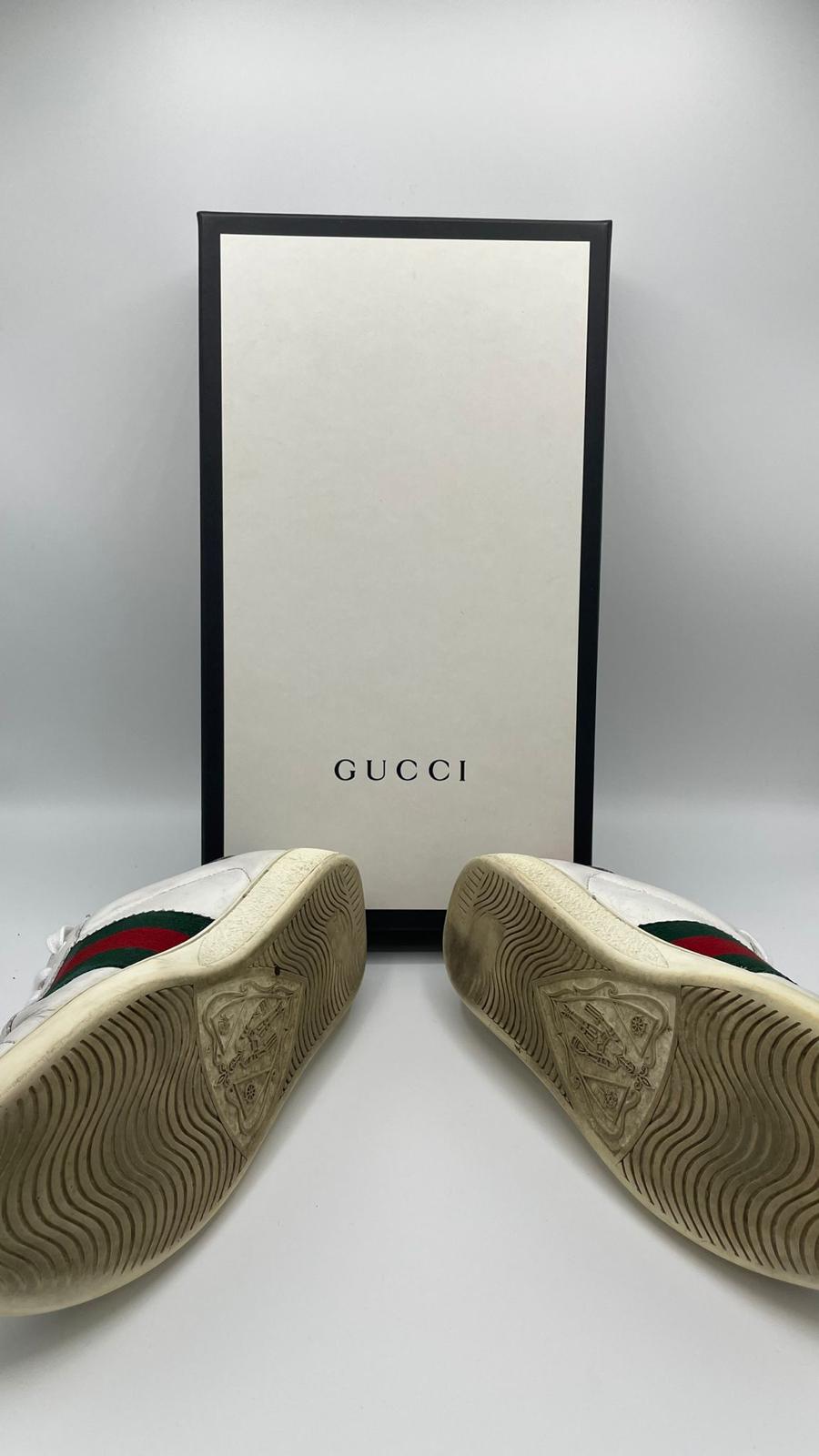 Gucci Ace Snake