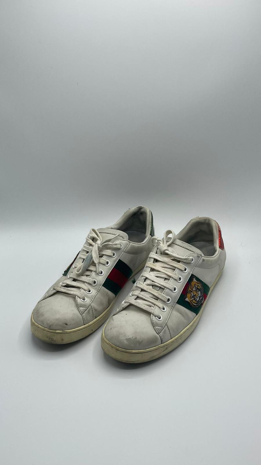 Gucci Ace Tiger