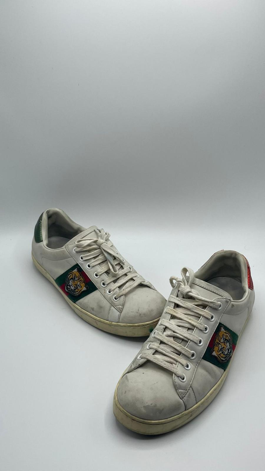 Gucci Ace Tiger