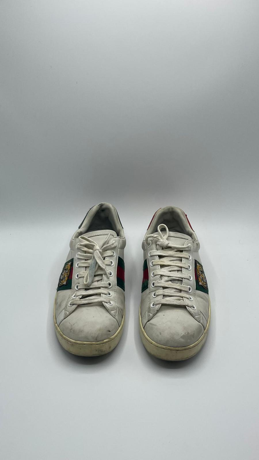 Gucci Ace Tiger