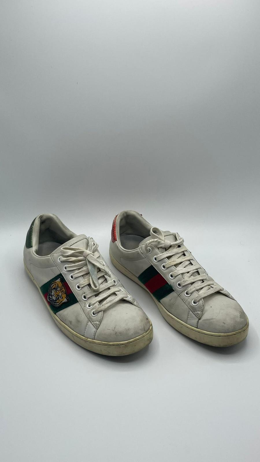 Gucci Ace Tiger