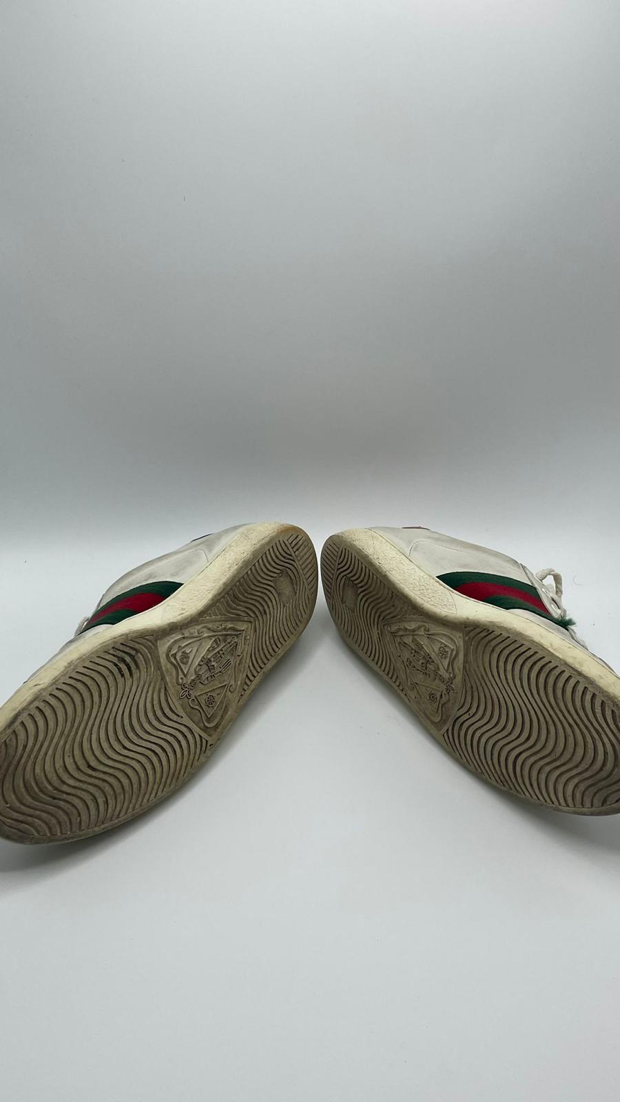 Gucci Ace Tiger