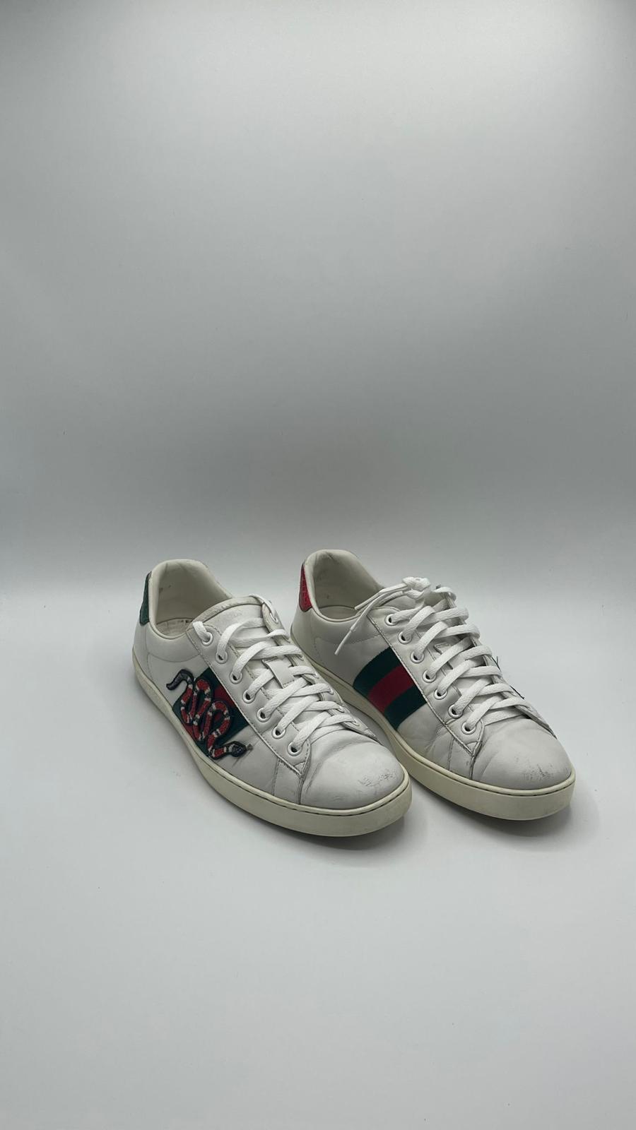 Gucci Ace Snake