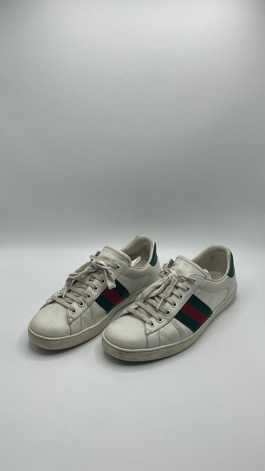 Gucci Ace