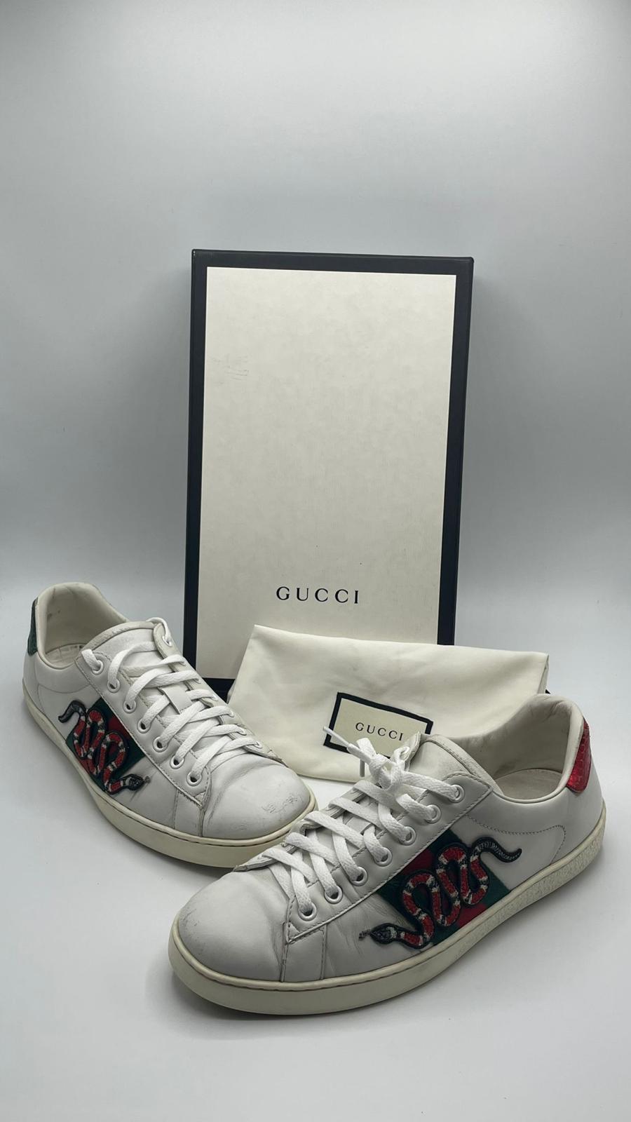 Gucci Ace Snake