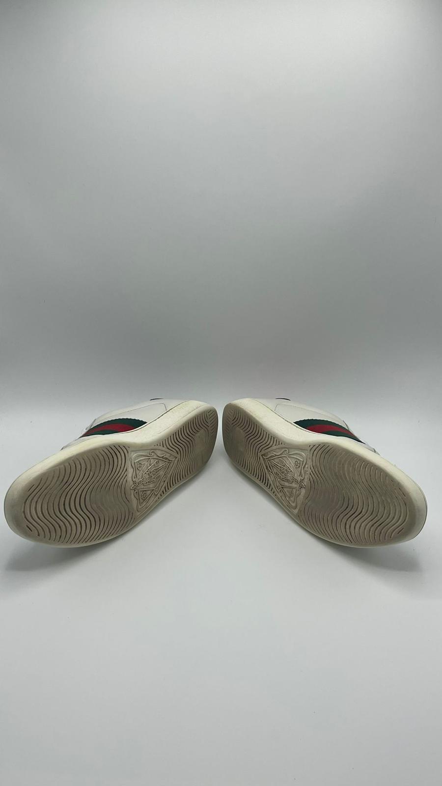 Gucci Ace Snake