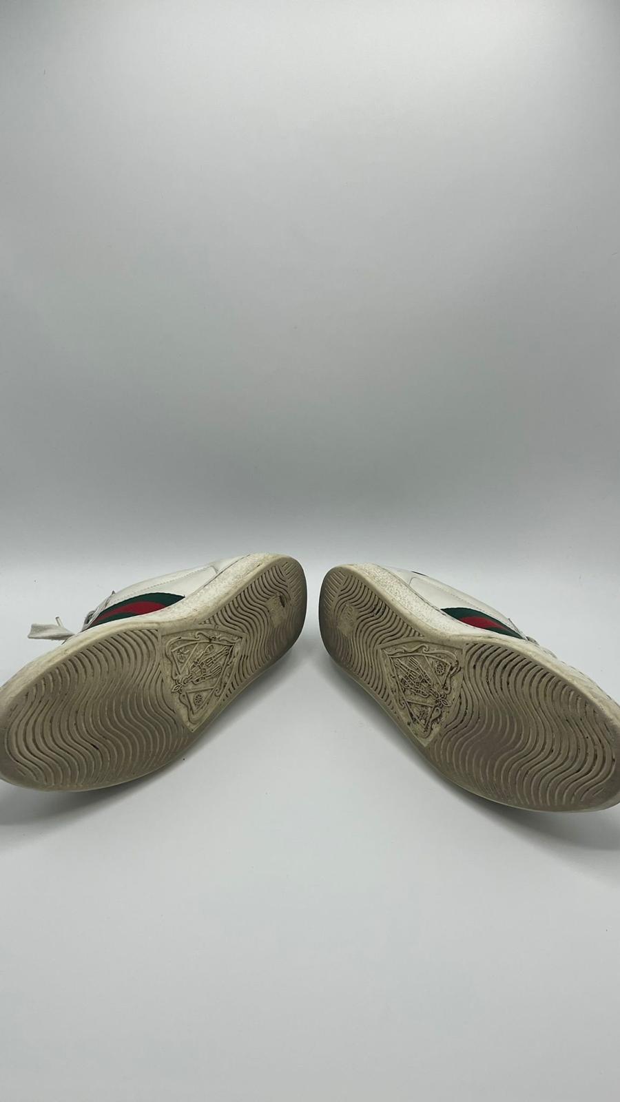 Gucci Ace
