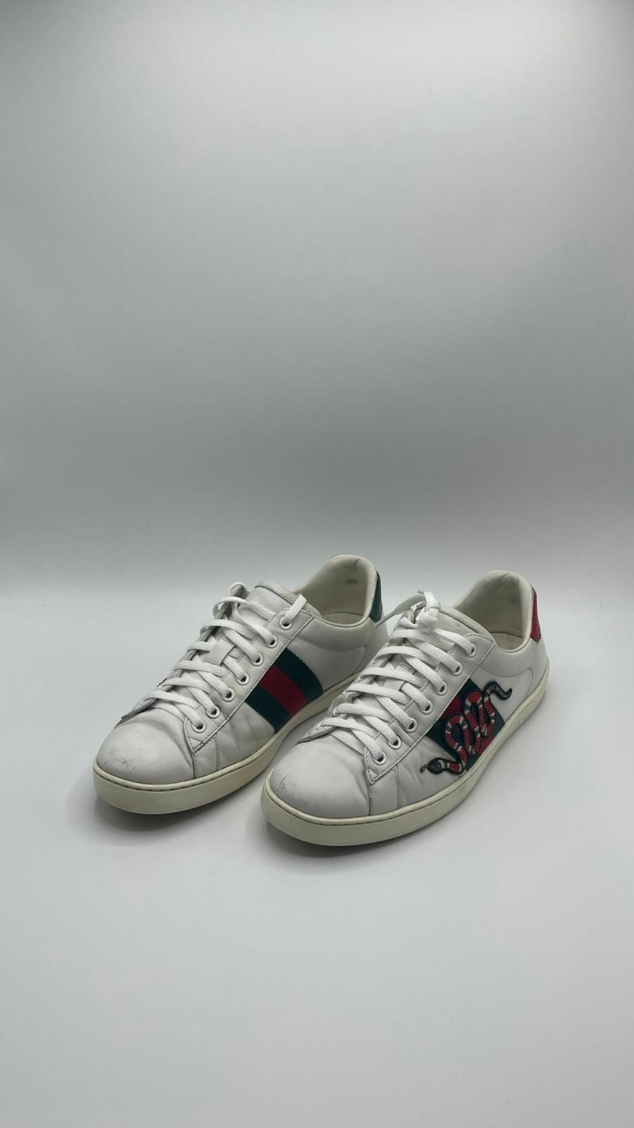 Gucci Ace Snake