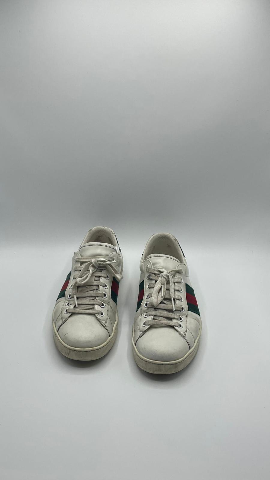 Gucci Ace