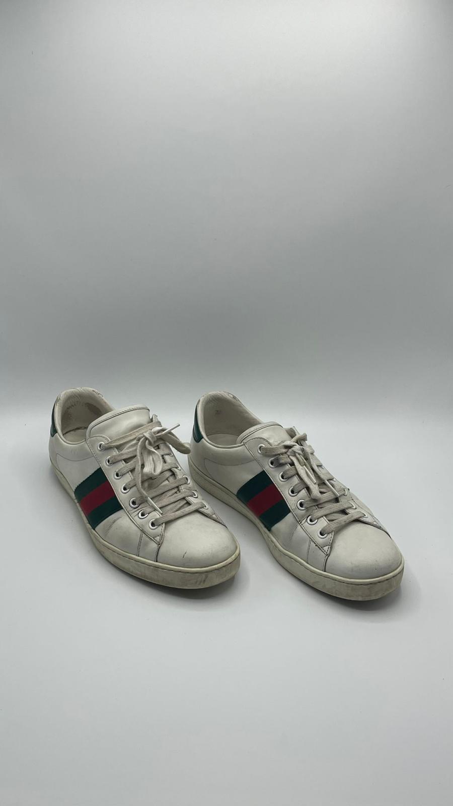 Gucci Ace