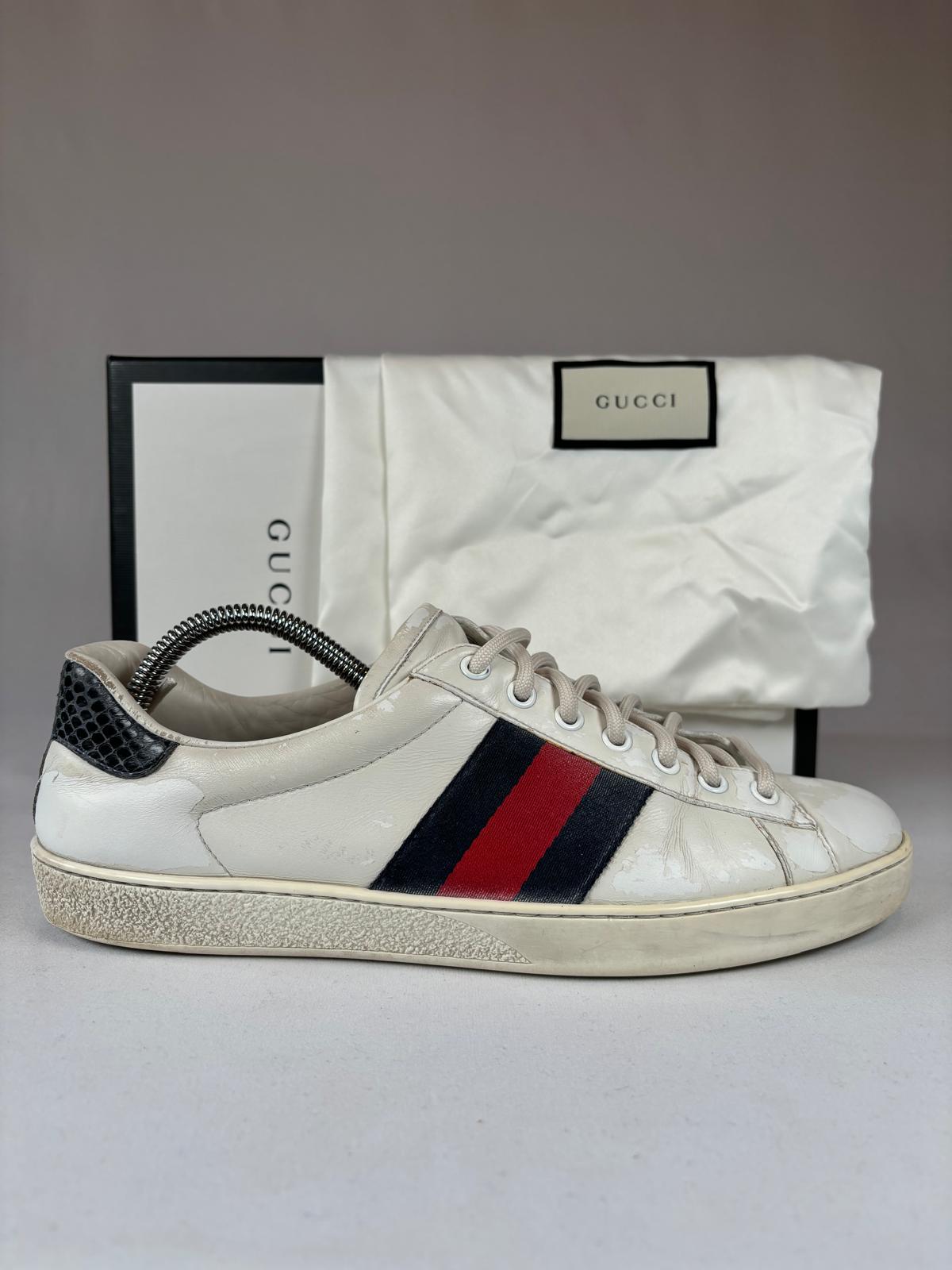 Gucci Ace
