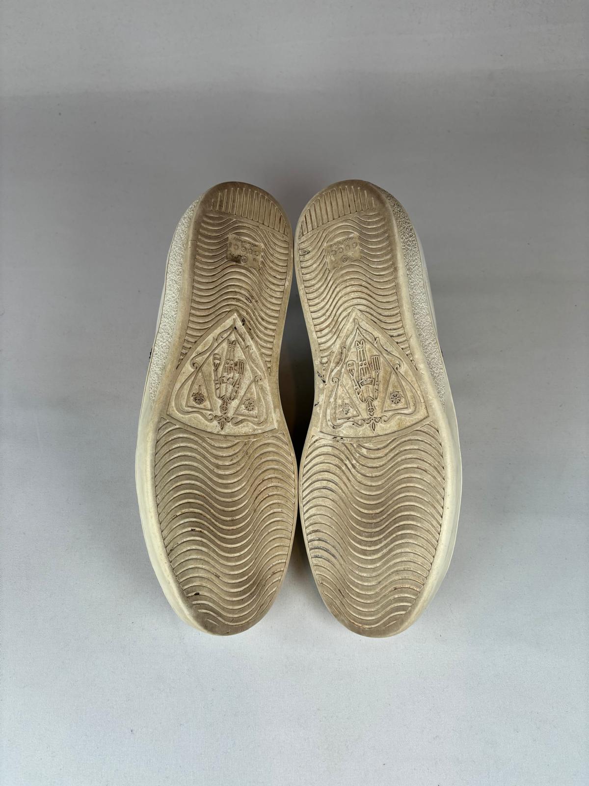Gucci Ace