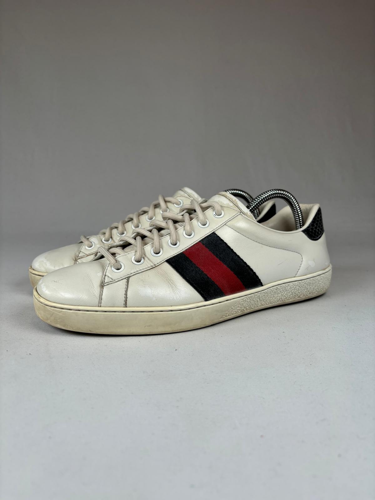Gucci Ace