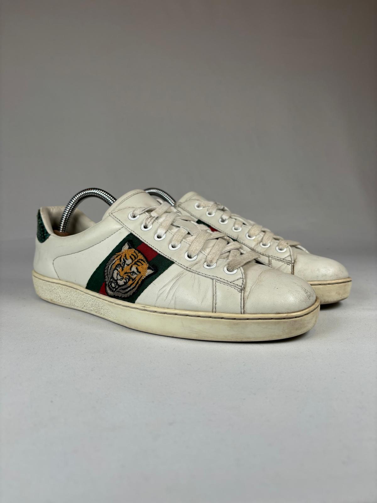 Gucci Ace Tiger