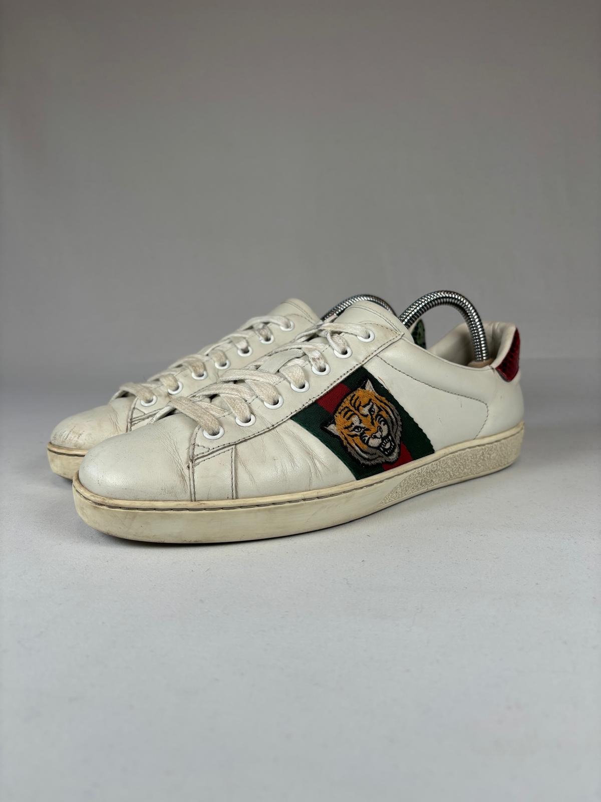 Gucci Ace Tiger