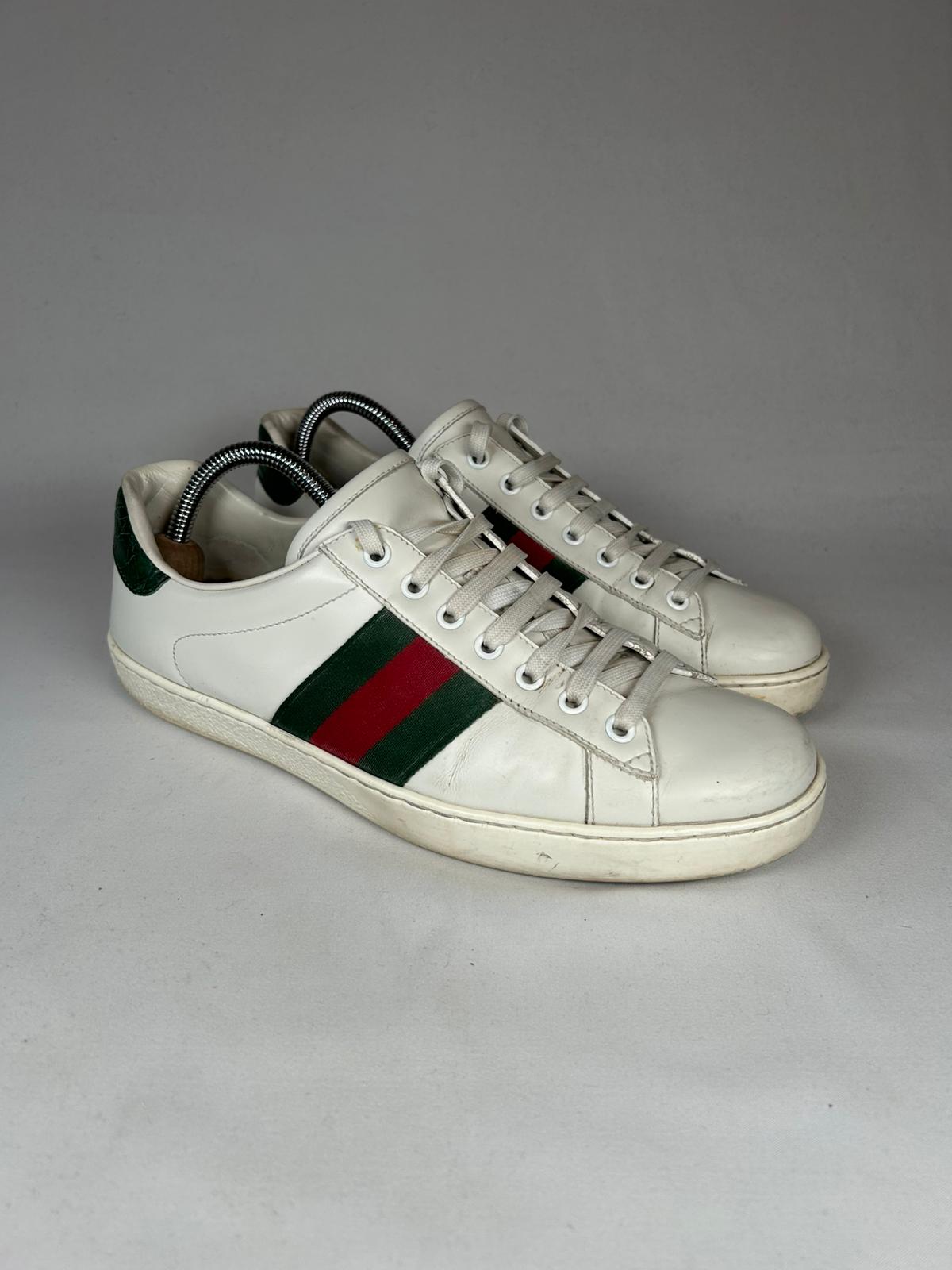 Gucci Ace