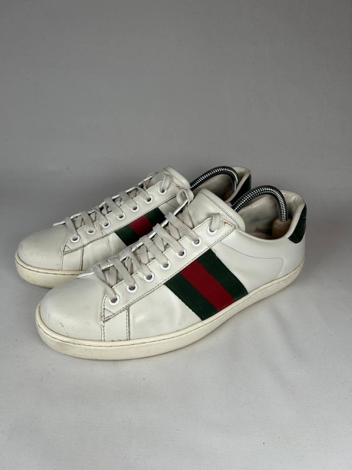 Gucci Ace