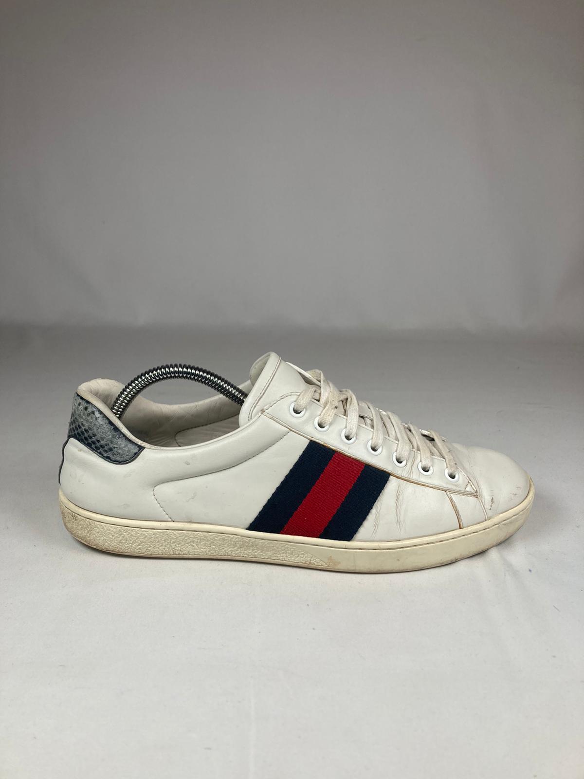 Gucci Ace
