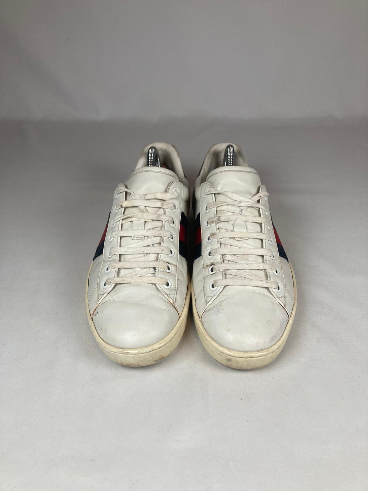Gucci Ace