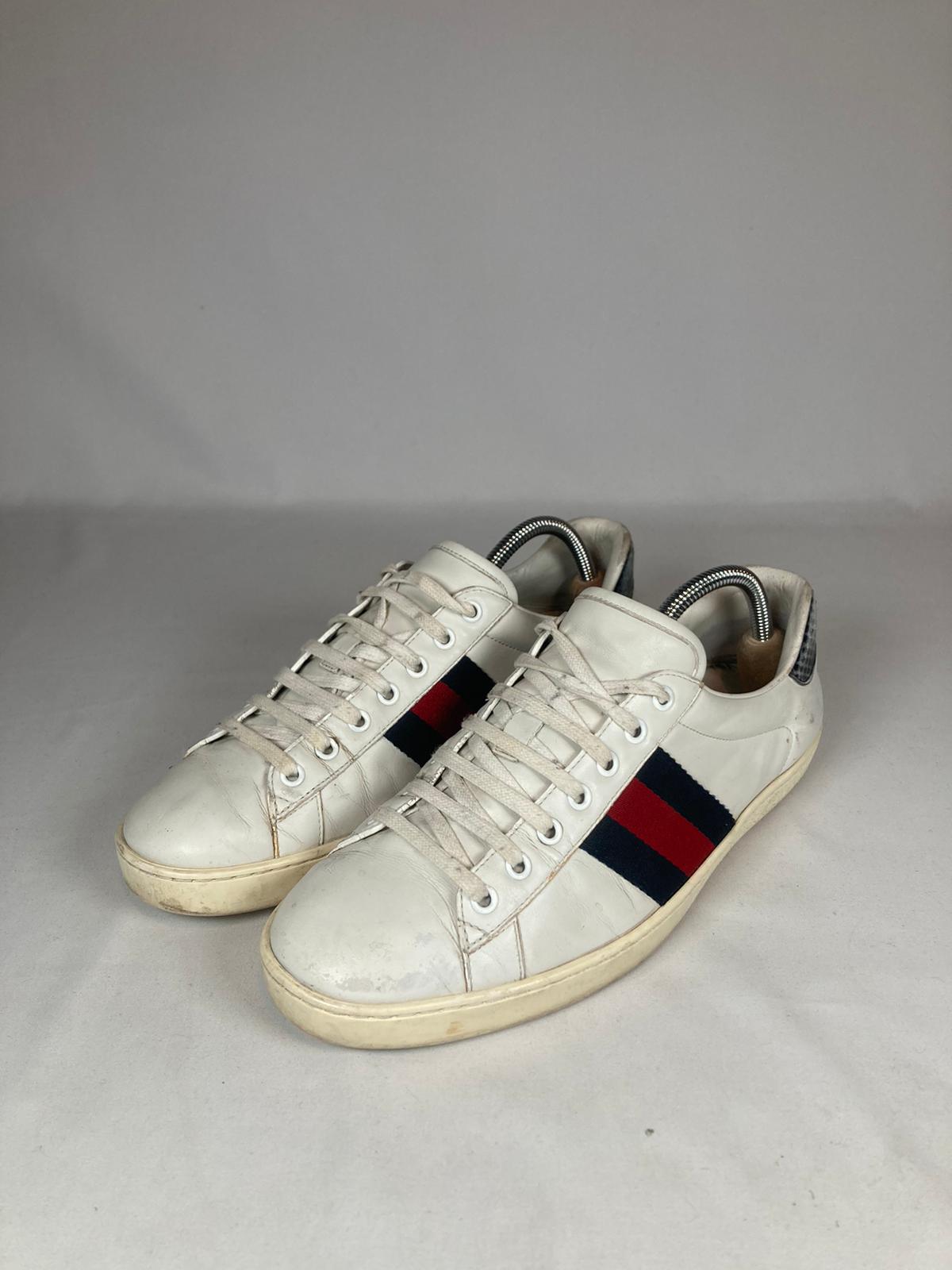 Gucci Ace