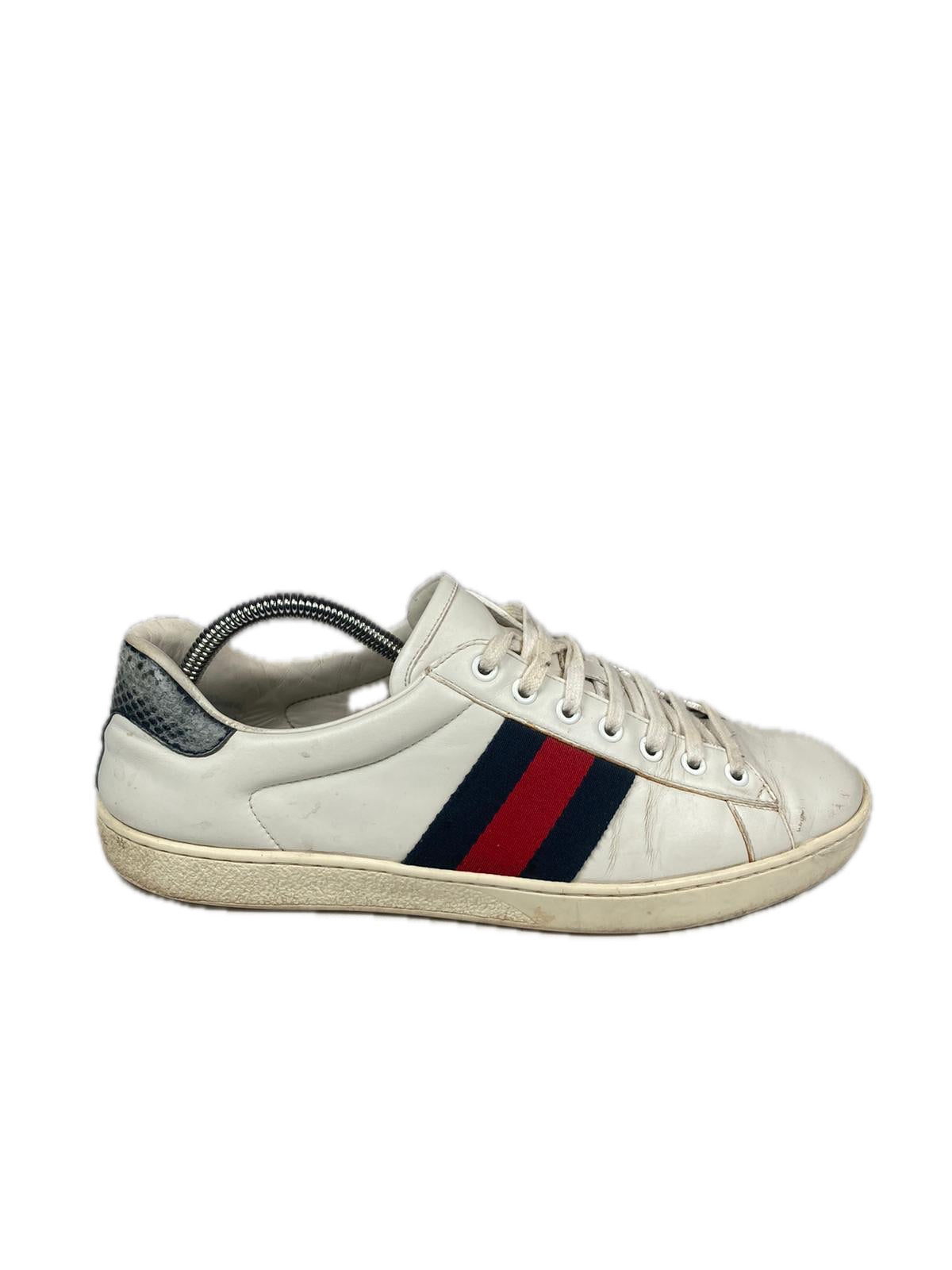 Gucci Ace