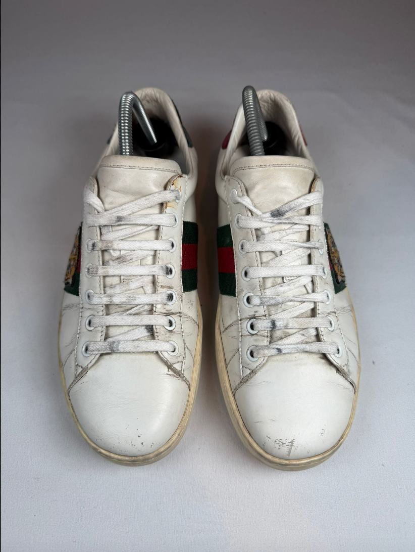 Gucci Ace Tiger
