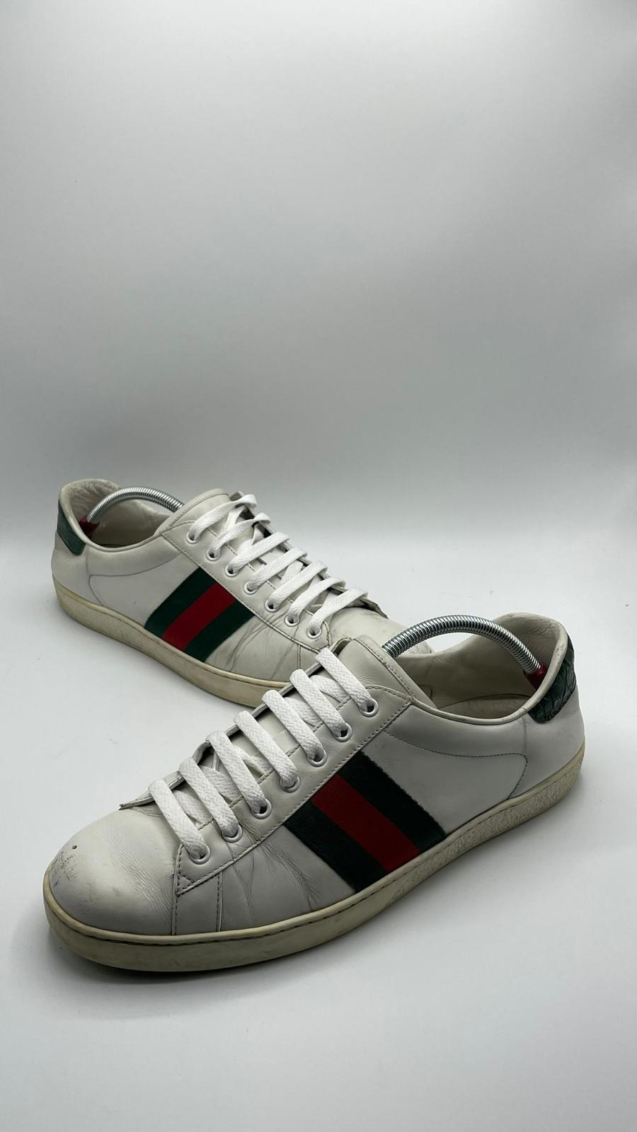 Gucci Ace