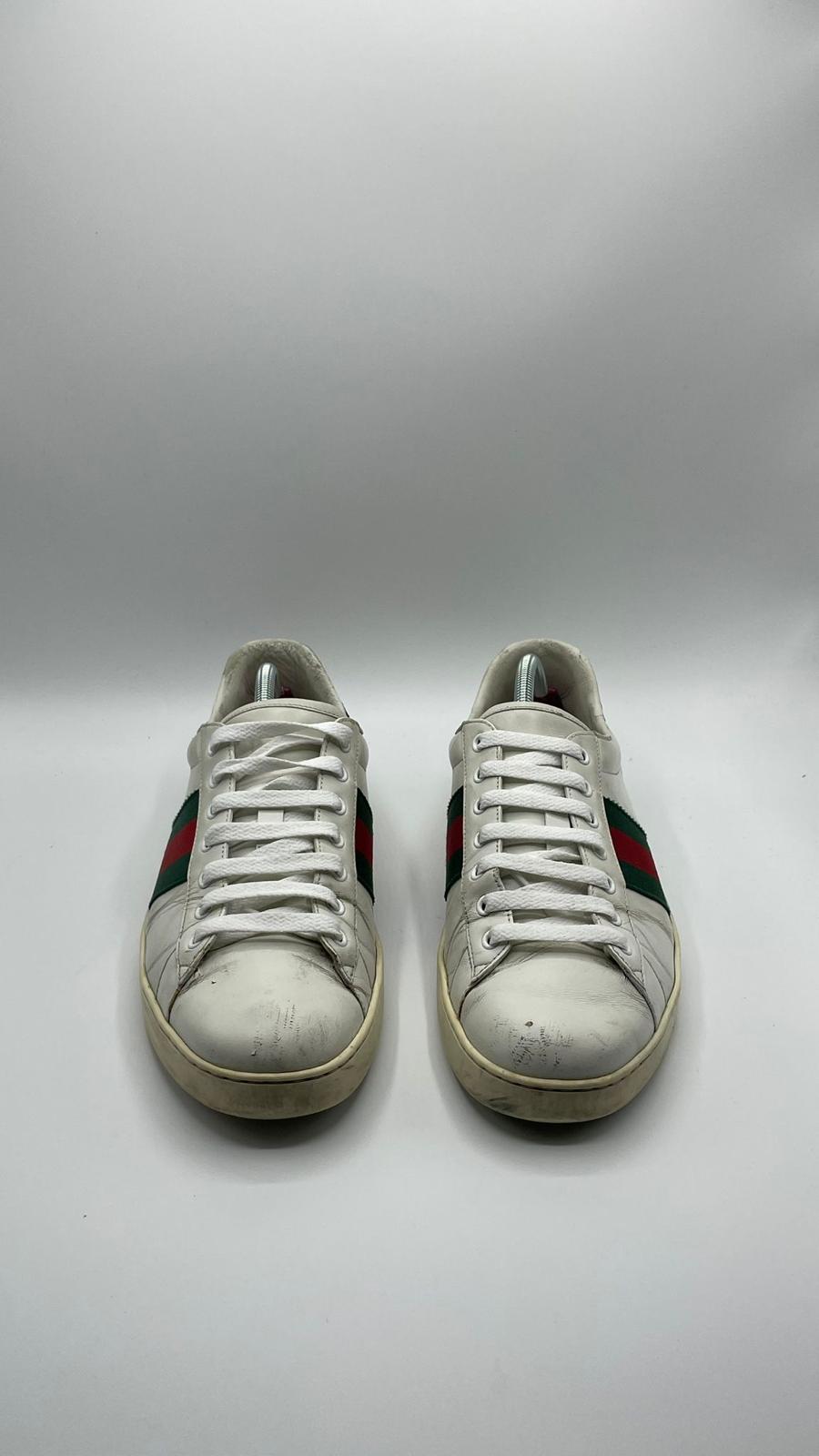 Gucci Ace