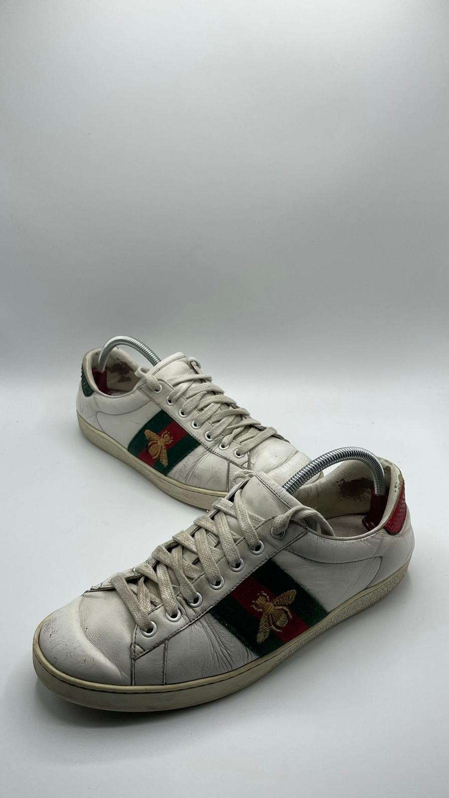 Gucci ace Bee