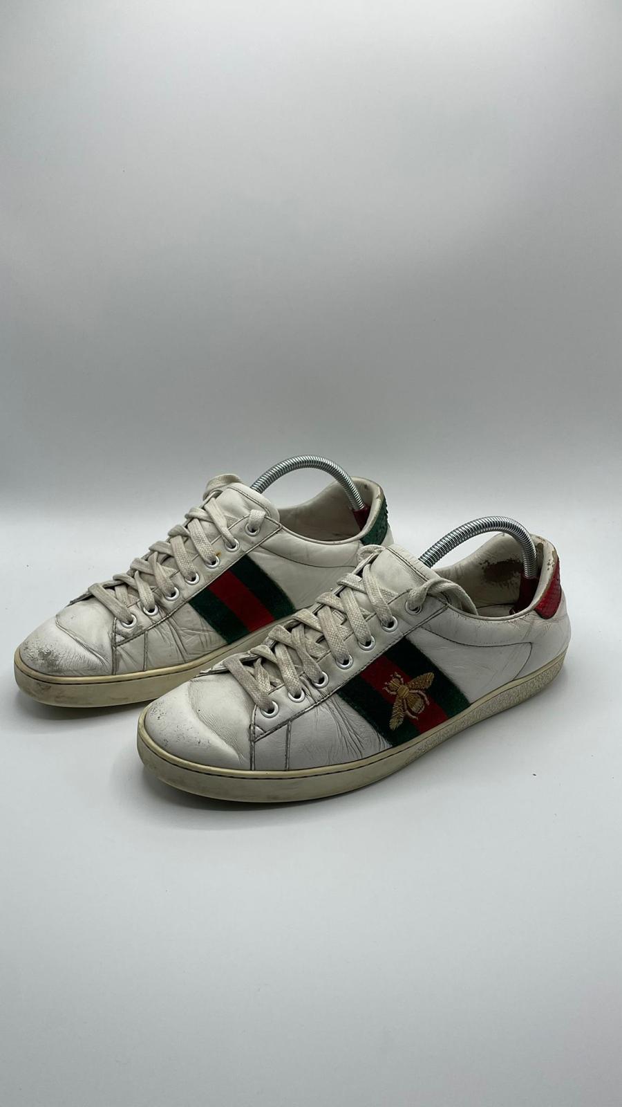 Gucci ace Bee