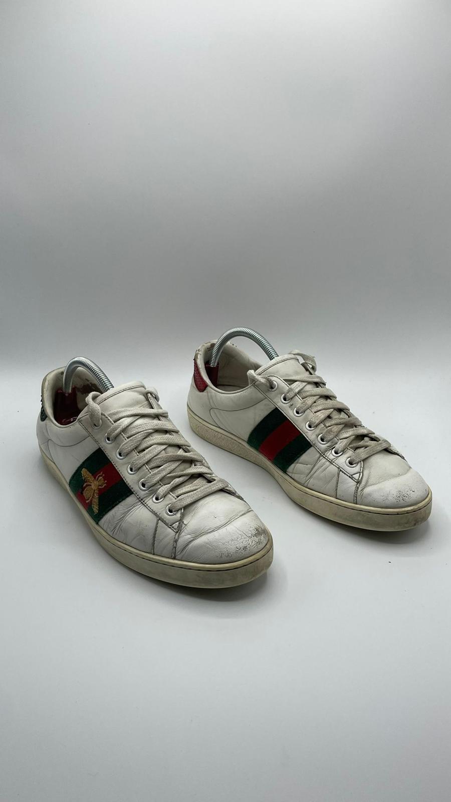 Gucci ace Bee