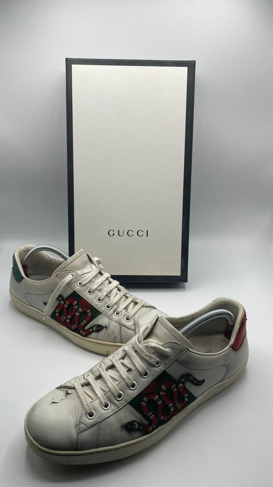 Gucci Ace Snake