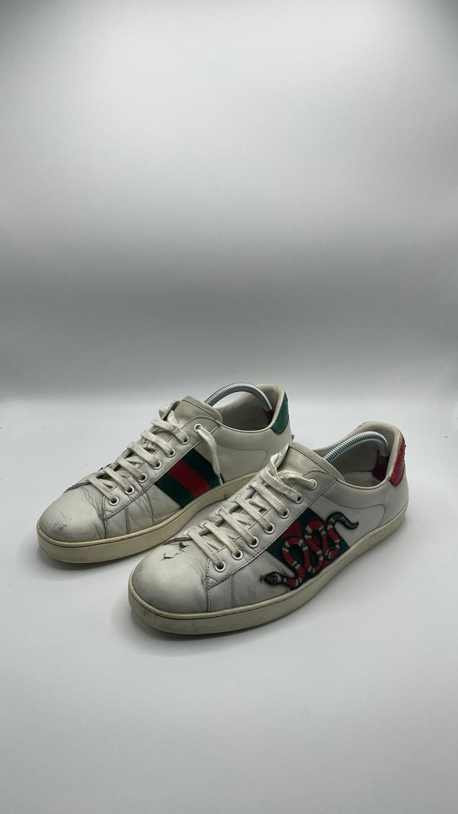 Gucci Ace Snake