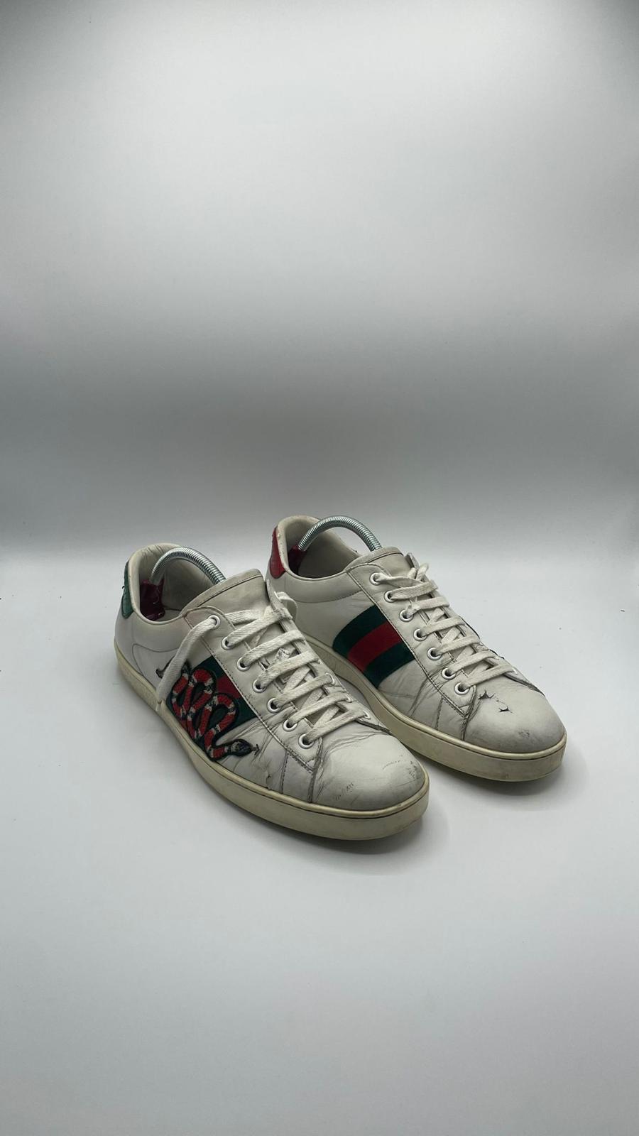 Gucci Ace Snake