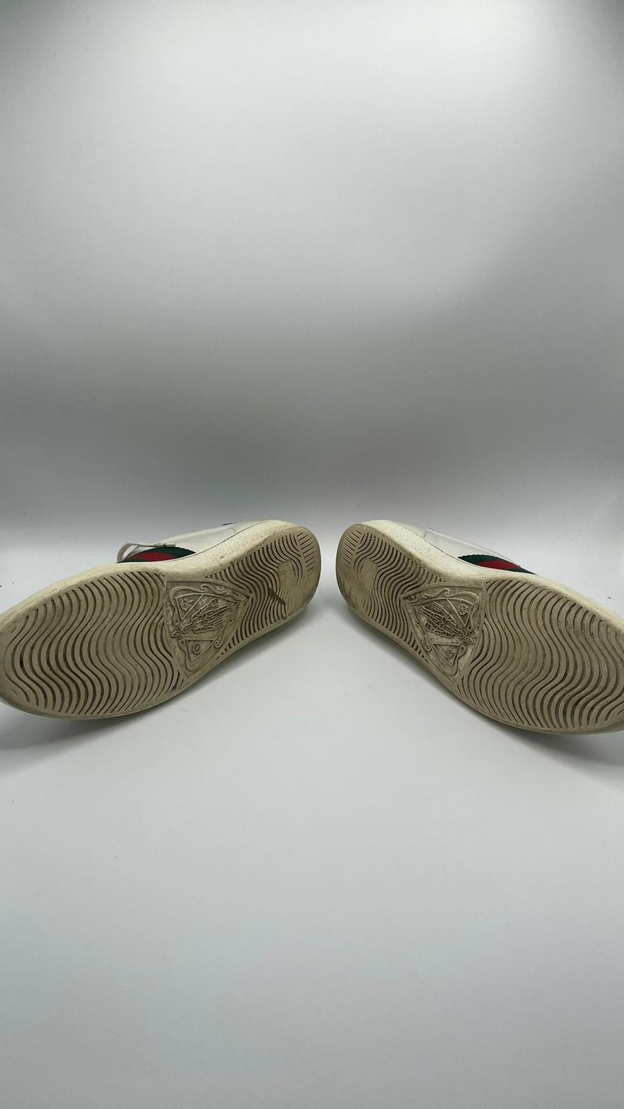 Gucci Ace Snake