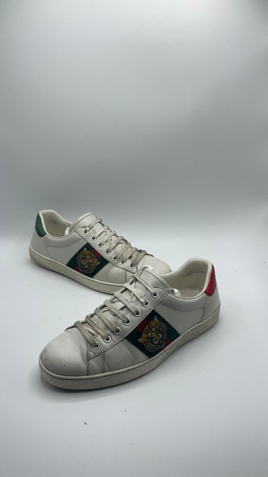 Gucci Ace Tiger