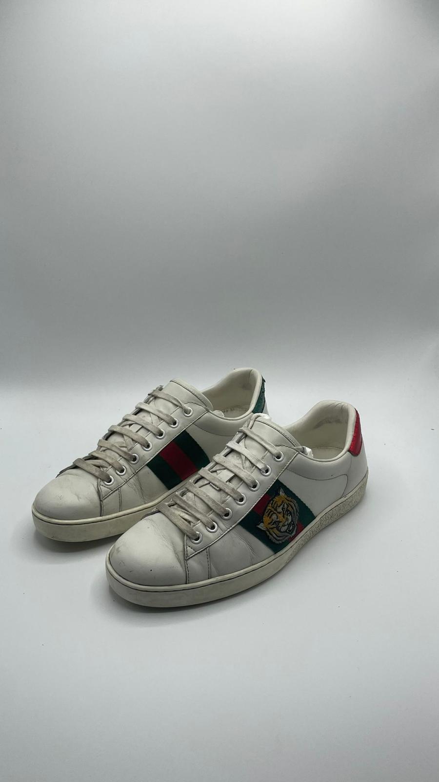 Gucci Ace Tiger