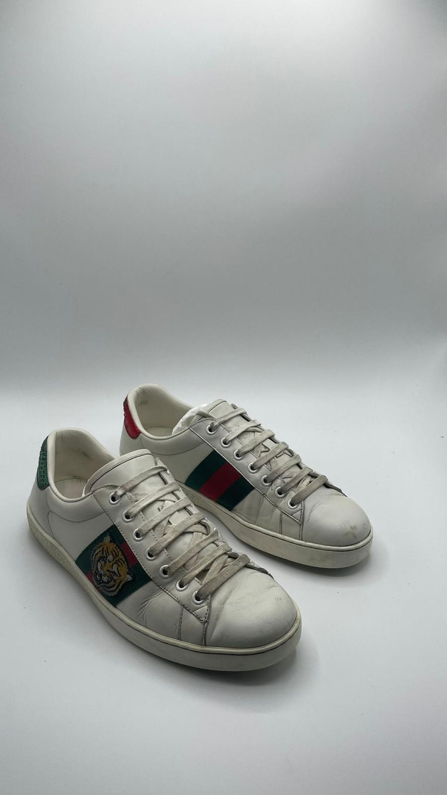 Gucci Ace Tiger