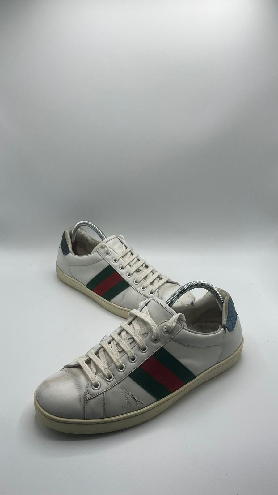 Gucci Ace