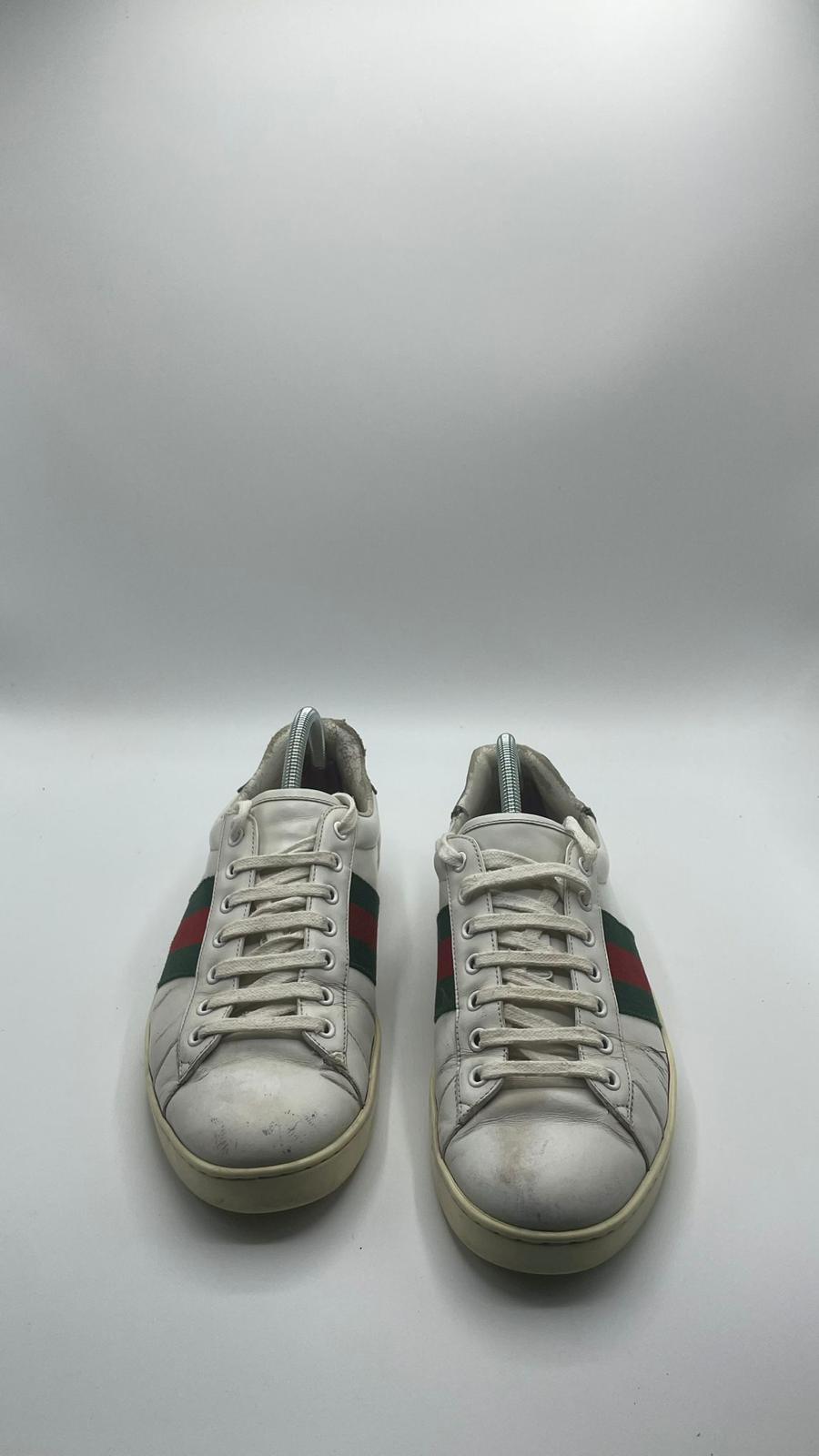 Gucci Ace